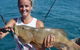 Out N About Sportfishing For Share And Private Charters On Reef And Estuary - thumb 9