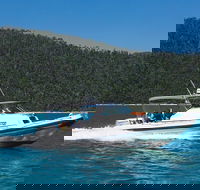Private Standard Charter Experience in Whitsundays - Northern Rivers Accommodation