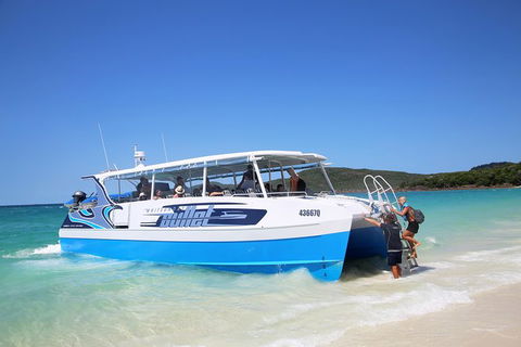 Whitsunday Bullet Day Trip - Whitehaven Beach And Snorkelling - Northern Rivers Accommodation 9