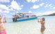 Whitsunday Bullet Day Trip - Whitehaven Beach And Snorkelling - thumb 1