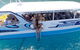 Whitsunday Bullet Day Trip - Whitehaven Beach And Snorkelling - thumb 13