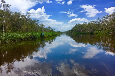 Noosa Everglades Serenity Cruise & Highlights Tour Inc. Lunch & Cruise - Northern Rivers Accommodation 7