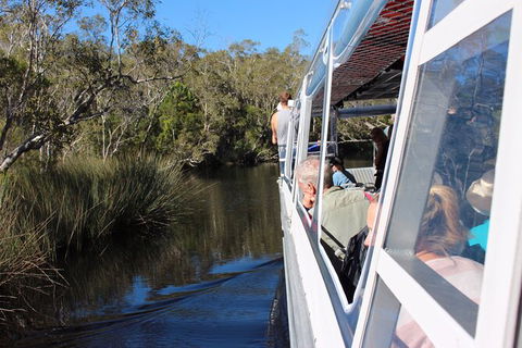 Noosa Everglades Serenity Cruise & Highlights Tour Inc. Lunch & Cruise - Northern Rivers Accommodation 10