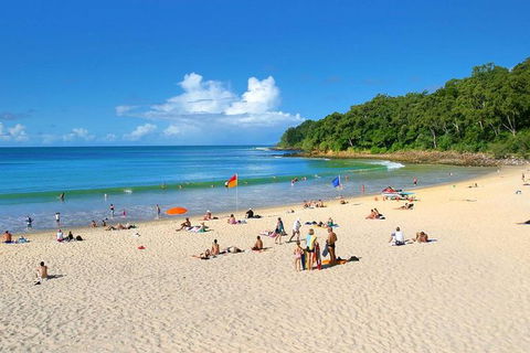 Noosa Everglades Serenity Cruise & Highlights Tour Inc. Lunch & Cruise - Northern Rivers Accommodation 2