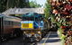 Kuranda Rainforest Station, Scenic Railway And Skyrail Tour - thumb 2