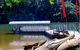 Kuranda Riverboat Sightseeing Cruise - thumb 0