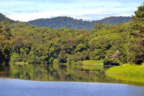 Kuranda Riverboat Sightseeing Cruise - Northern Rivers Accommodation 7