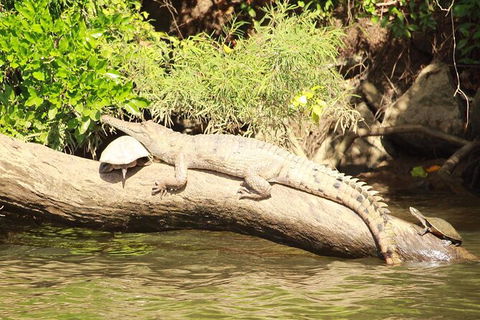 Kuranda Riverboat Sightseeing Cruise - Northern Rivers Accommodation 2