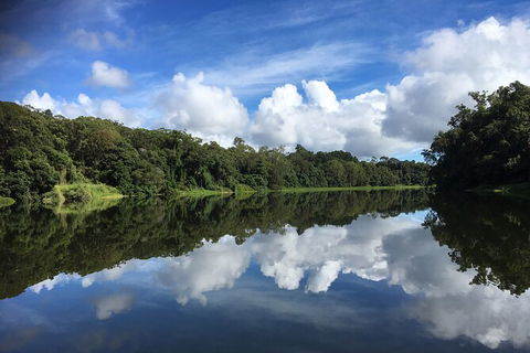 Kuranda Riverboat Sightseeing Cruise - Northern Rivers Accommodation 13