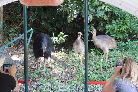 Kuranda Riverboat Sightseeing Cruise - Northern Rivers Accommodation 4