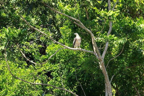 Kuranda Riverboat Sightseeing Cruise - Northern Rivers Accommodation 1