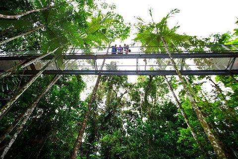 Daintree Discovery Centre Family Pass Ticket - Northern Rivers Accommodation 3
