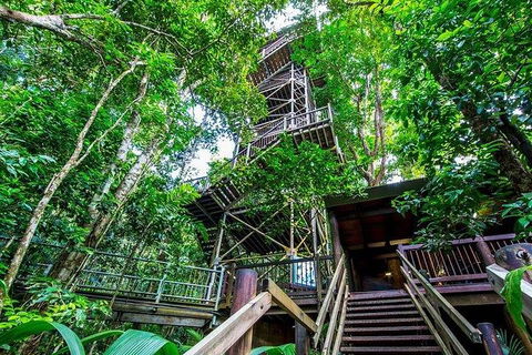 Daintree Discovery Centre Family Pass Ticket - Northern Rivers Accommodation 4