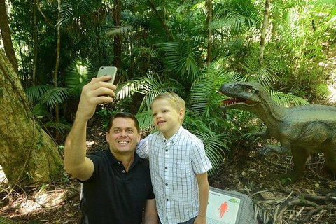 Daintree Discovery Centre Family Pass Ticket - Northern Rivers Accommodation 6