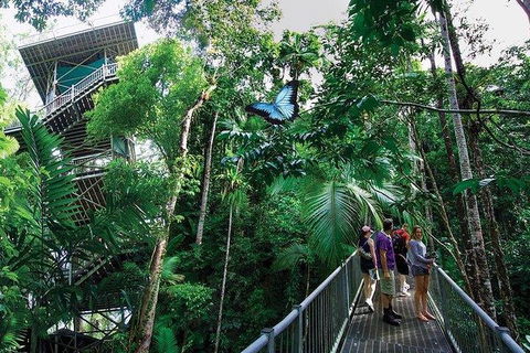 Daintree Discovery Centre Family Pass Ticket - Northern Rivers Accommodation 2