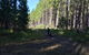 One Day Guided Dirt Bike Tour In The Magnificent Glasshouse Mountains Forests. - thumb 7