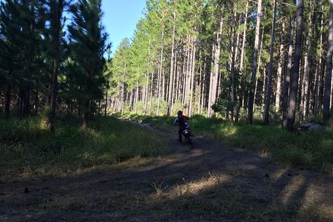 One Day Guided Dirt Bike Tour In The Magnificent Glasshouse Mountains Forests. - Northern Rivers Accommodation 7