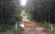 One Day Guided Dirt Bike Tour In The Magnificent Glasshouse Mountains Forests. - thumb 3