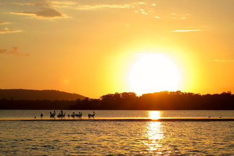 Noosa River Cruise For 2 People On A Classic Mahogany Speed Boat - 90 Min. - Northern Rivers Accommodation 9
