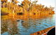 Noosa River Cruise For 2 People On A Classic Mahogany Speed Boat - 90 Min. - thumb 23