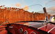 Noosa River Cruise For 2 People On A Classic Mahogany Speed Boat - 90 Min. - thumb 8