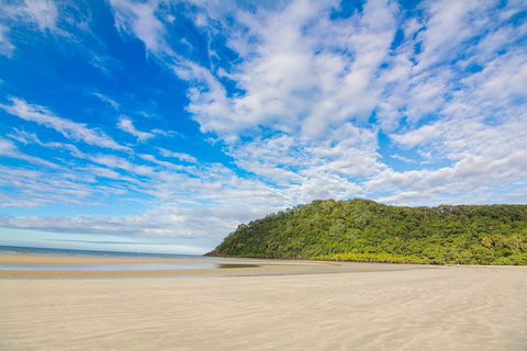 Daintree Afternoon Nocturnal Nature And Wildlife Tour - Northern Rivers Accommodation 8