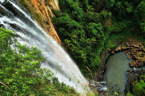 Natural Arch, Rainforest & Volcano Canyon - Private Half Day Tour - Northern Rivers Accommodation 2