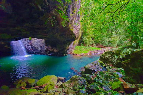 Natural Arch, Rainforest & Volcano Canyon - Private Half Day Tour - Northern Rivers Accommodation 5