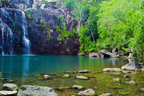 Reef, Wildlife & Rainforest - Reef & Beyond Guided Holidays - Northern Rivers Accommodation 0