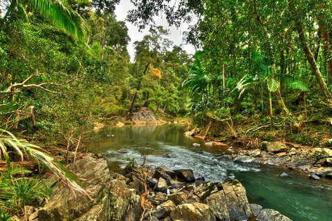 Reef, Wildlife & Rainforest - Reef & Beyond Guided Holidays - Northern Rivers Accommodation 3