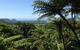 Daintree And Cape Tribulation Full Day Guided Tour - thumb 1