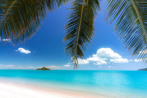 Rainforest To Reef Experience - Reef And Beyond Guided Holidays - Northern Rivers Accommodation 1