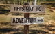 Rainforest To Reef Experience - Reef And Beyond Guided Holidays - thumb 6