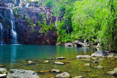 Rainforest To Reef Experience - Reef And Beyond Guided Holidays - Northern Rivers Accommodation 5