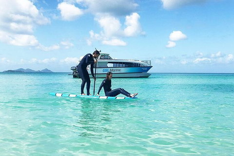 Rainforest To Reef Experience - Reef And Beyond Guided Holidays - Northern Rivers Accommodation 3