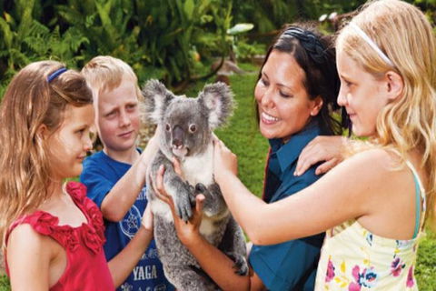 Kuranda Day Tour + HotAir Balloon Combo - Northern Rivers Accommodation 9