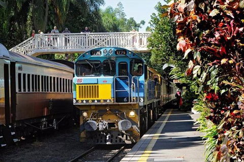 Kuranda Day Tour + HotAir Balloon Combo - Northern Rivers Accommodation 3