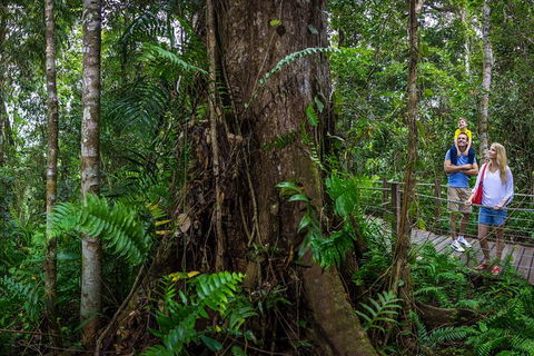Kuranda Day Tour + HotAir Balloon Combo - Northern Rivers Accommodation 11
