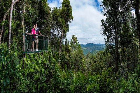 Kuranda Day Tour + HotAir Balloon Combo - Northern Rivers Accommodation 6