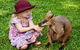Kuranda Day Tour + HotAir Balloon Combo - thumb 14
