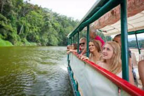 Kuranda Day Tour + HotAir Balloon Combo - Northern Rivers Accommodation 13