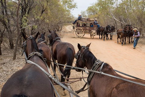 Cobb And Co Stagecoach Experience - Northern Rivers Accommodation 1
