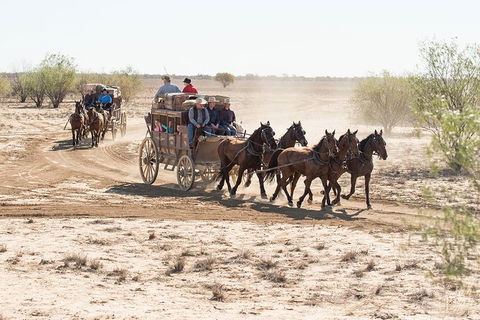 Cobb And Co Stagecoach Experience - Northern Rivers Accommodation 4