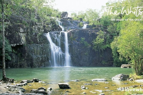 Chasing Waterfalls In The Whitsunday\'s Full Day Tour - Northern Rivers Accommodation 23