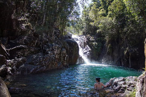 Chasing Waterfalls In The Whitsunday\'s Full Day Tour - Northern Rivers Accommodation 18