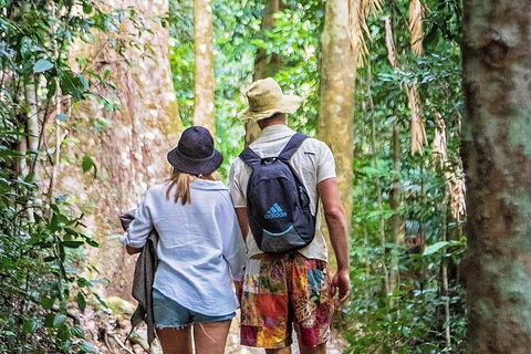 Chasing Waterfalls In The Whitsunday\'s Full Day Tour - Northern Rivers Accommodation 22