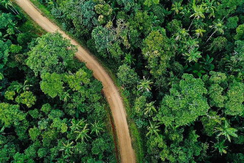 Chasing Waterfalls In The Whitsunday\'s Full Day Tour - Northern Rivers Accommodation 5