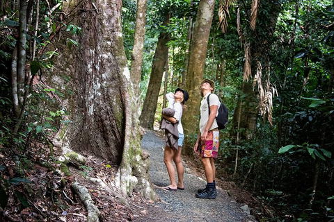 Chasing Waterfalls In The Whitsunday\'s Full Day Tour - Northern Rivers Accommodation 19