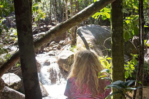 Chasing Waterfalls In The Whitsunday\'s Full Day Tour - Northern Rivers Accommodation 17