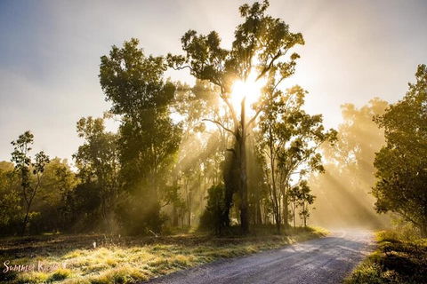 Chasing Waterfalls In The Whitsunday\'s Full Day Tour - Northern Rivers Accommodation 20